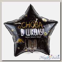Шар 22 Звезда Снова В Школу!