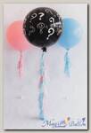Большие Сет шары Gender Reveal Party