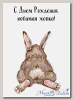 Открытка Заяц