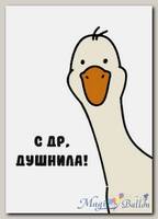Открытка Душнила