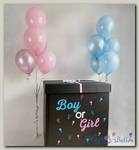 Коробка с шарами Boy or Girl -