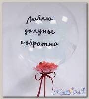 Шарик Bubble «До луны и обратно»