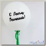 Большой шар на 1 Сентября Белый