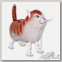 Шар ходячий Кот